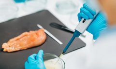 2026食物检测行业全景调研及成长前景预测 